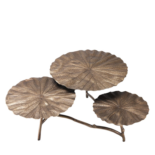 COFFEE TABLE COLIBRI