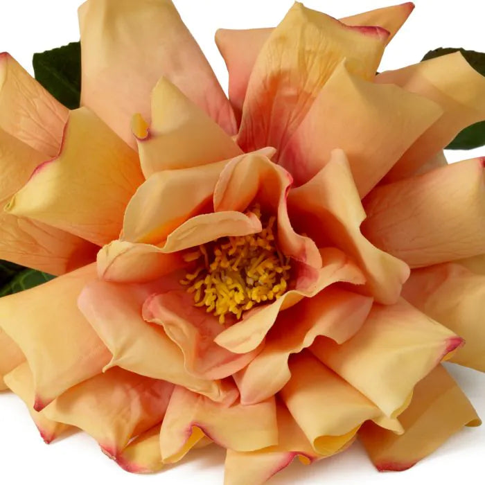 BOUQUET OF ROSES REAL TOUCH 72 PCS/2 VARIETIES