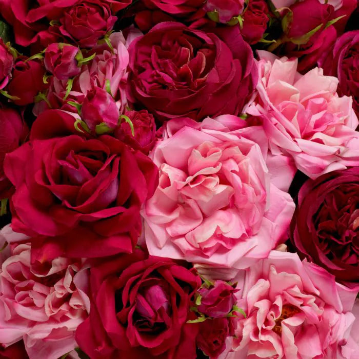 BOUQUET OF ROSES REAL TOUCH 72 PCS/3 VARIETIES
