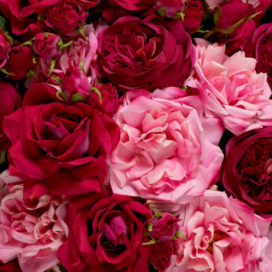 BOUQUET OF ROSES REAL TOUCH 72 PCS/3 VARIETIES