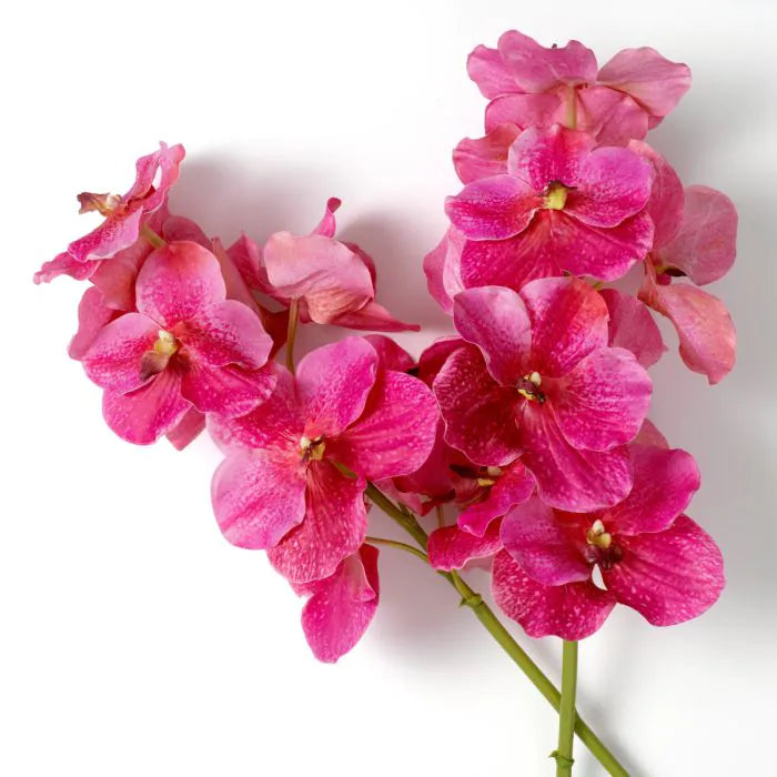 BOUQUET OF VANDA ORCHIDIS REAL TOUCH 24 PCS