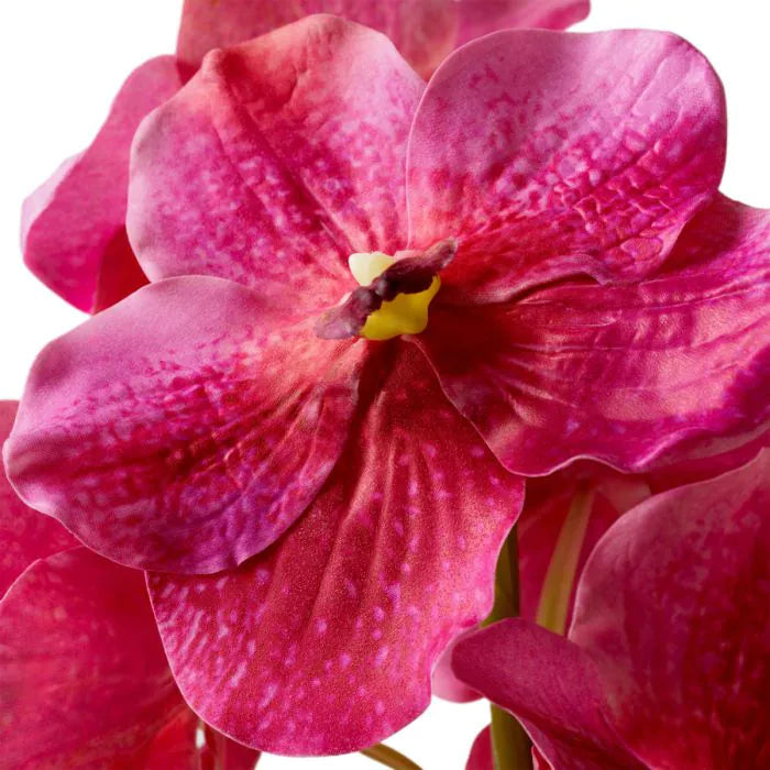 BOUQUET OF VANDA ORCHIDIS REAL TOUCH 24 PCS