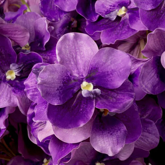 BOUQUET OF VANDA ORCHIDIS REAL TOUCH 24 PCS