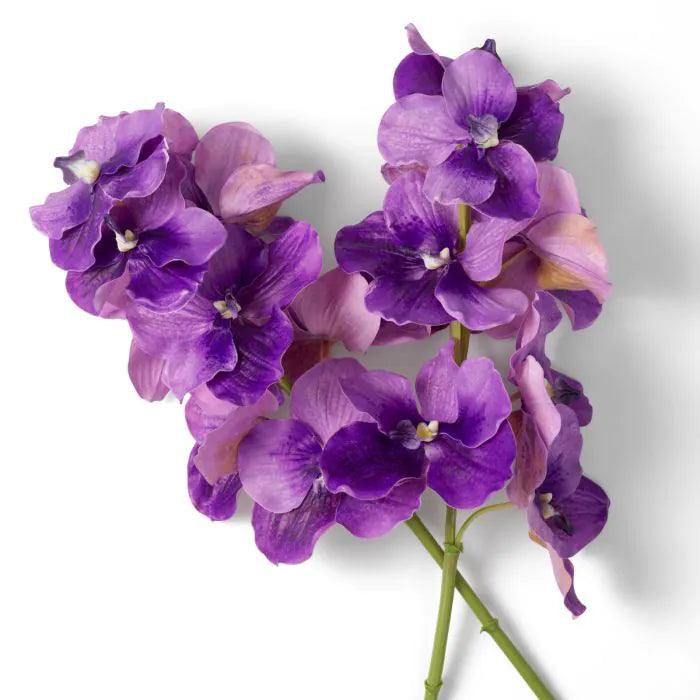 BOUQUET OF VANDA ORCHIDIS REAL TOUCH 24 PCS