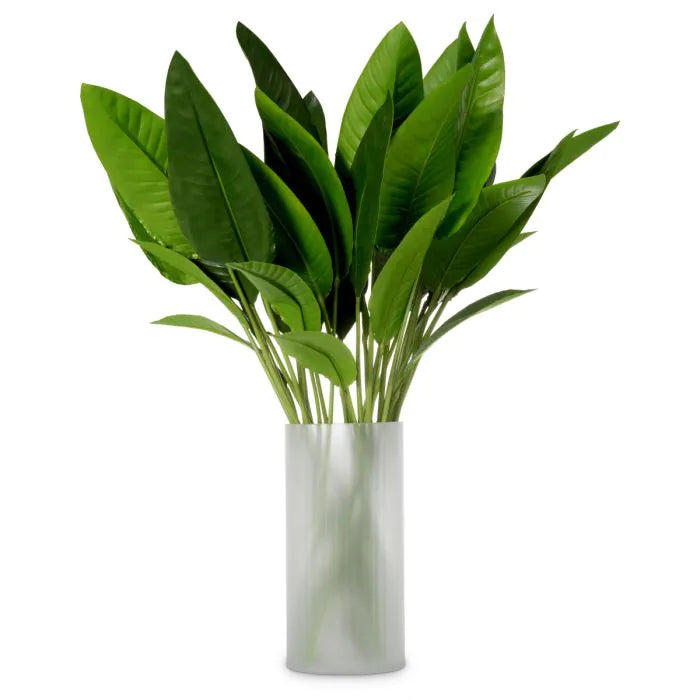 BUNDLE OF STRELITZIA LEAVES OF 36 PCS