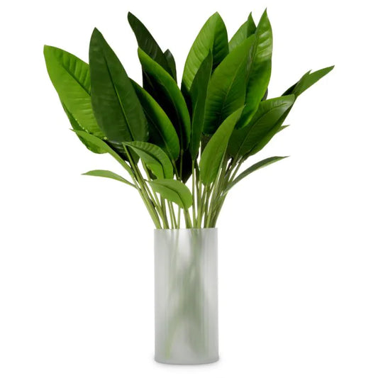 BUNDLE OF STRELITZIA LEAVES OF 36 PCS