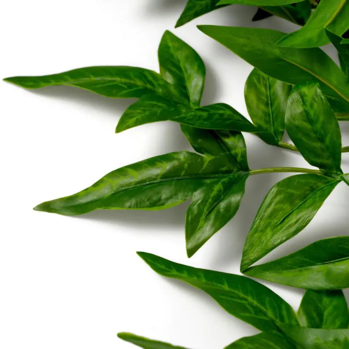BUNDLE OF TENDER LEAVES 36 PCS