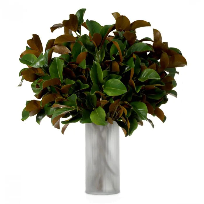 BUNDLE OF MAGNOLIA LEAVES 24 PCS