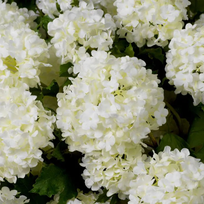 BOUQUET OF HYDRANGEAS REAL TOUCH 36 PCS