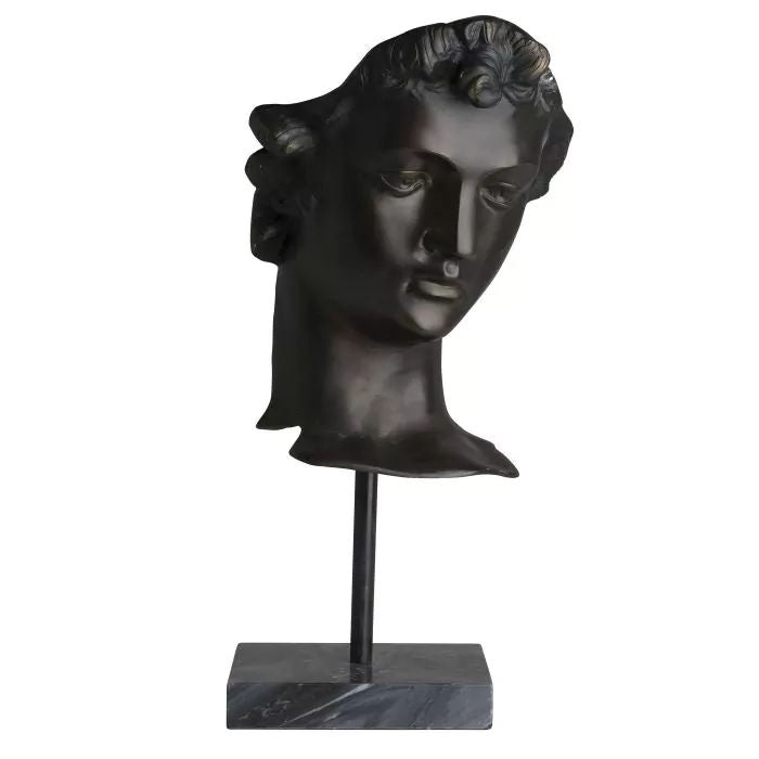HEAD DAVID