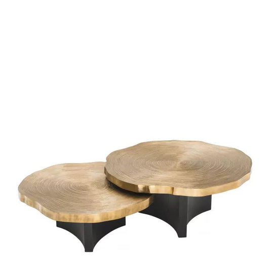 COFFEE TABLE THOUSAND OAKS SET OF 2