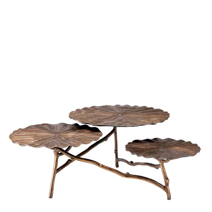 COFFE TABLE COLIBRI