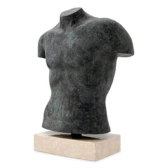 TORSO ARISTO image