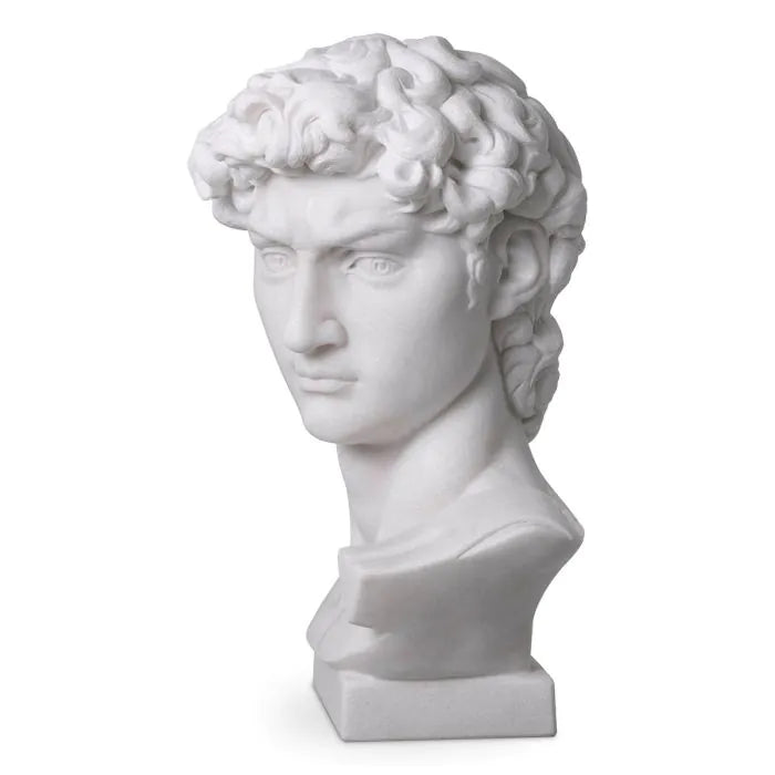 HEAD DAVID MARBLE