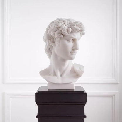 HEAD DAVID MARBLE