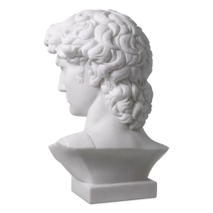 HEAD DAVID MARBLE