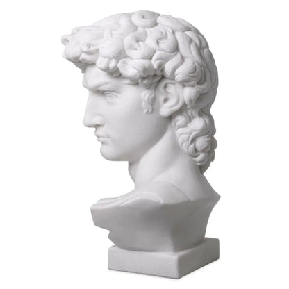 HEAD DAVID MARBLE