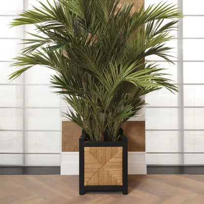 PLANTER ARUBA