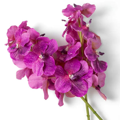 BOUQUET VANDA ORCHIDIS REAL TOUCH 24 STK