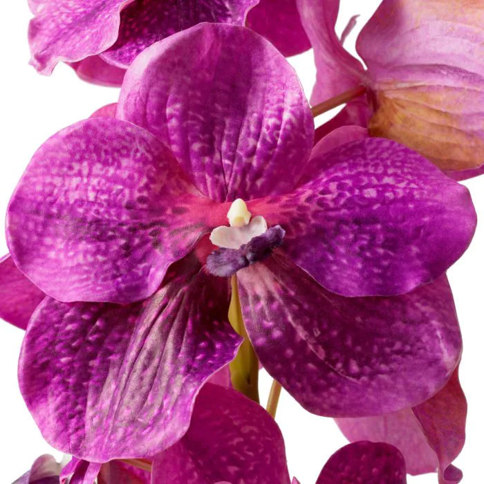 BOUQUET VANDA ORCHIDIS REAL TOUCH 24 STK