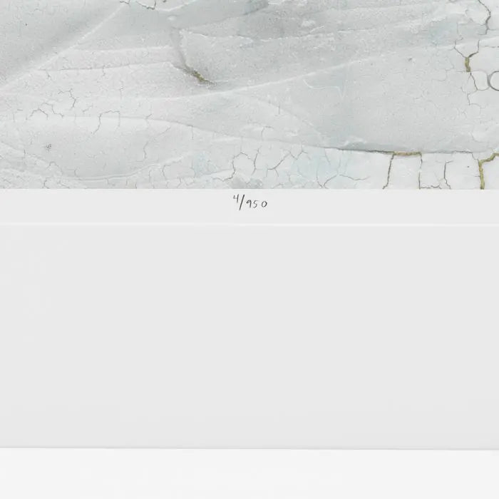 STAMPA RIFT VALLEY DI VANNA LAM SET DI 2