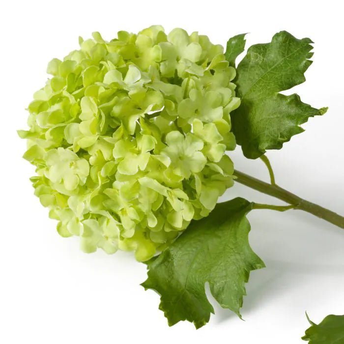 BOUQUET OF HYDRANGEAS REAL TOUCH 36 PCS