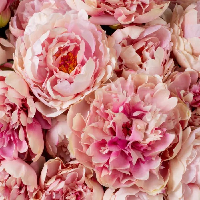 BOUQUET OF PEONIES REAL TOUCH 48 PCS/2 VARIETIES