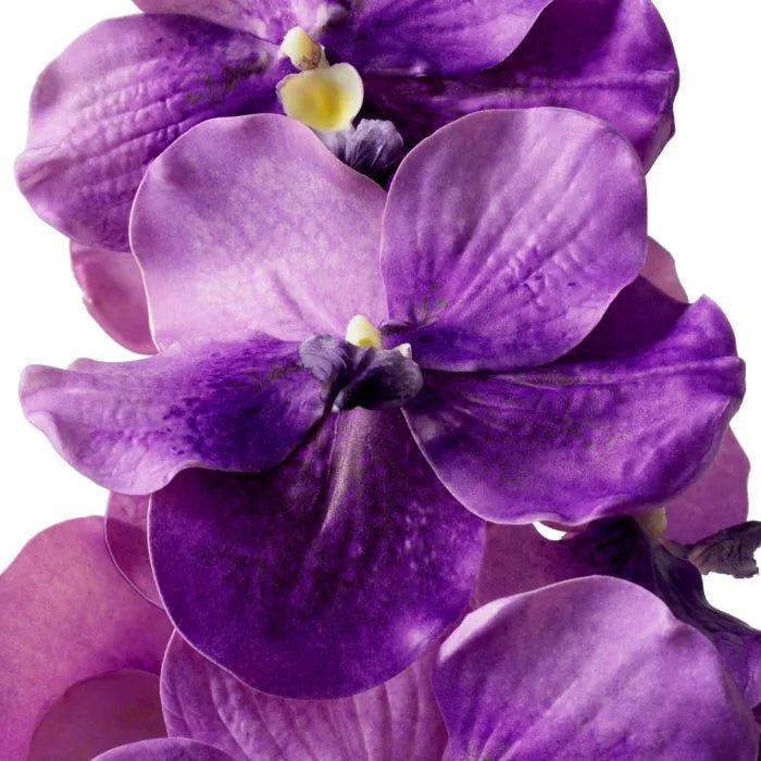 BOUQUET OF VANDA ORCHIDIS REAL TOUCH 24 PCS