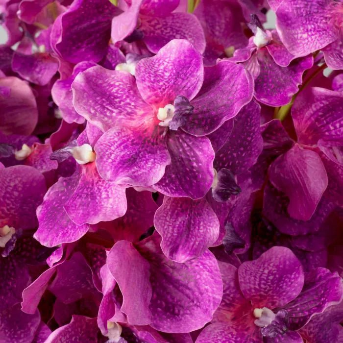 BOUQUET OF VANDA ORCHIDIS REAL TOUCH 24 PCS