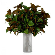 BUNDLE OF MAGNOLIA LEAVES 24 PCS