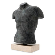 TORSO ARISTO