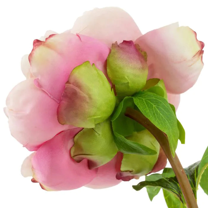 BOUQUET OF PEONIES REAL TOUCH 48 PCS/2 VARIETIES