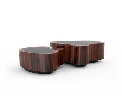 CENTER TABLE WAVE SET OF 2